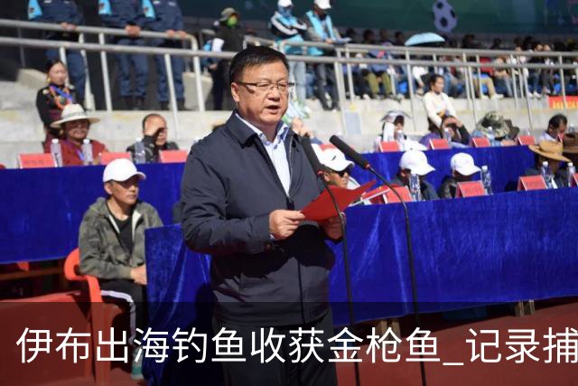 伊布出海钓鱼收获金枪鱼 记录捕获与放生全过程