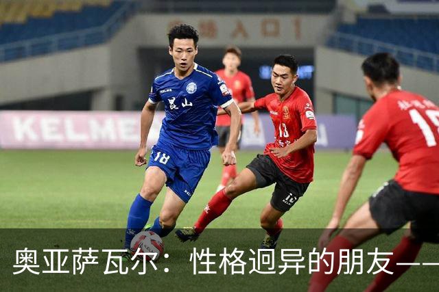 奥亚萨瓦尔：性格迥异的朋友——对立的吸引力
